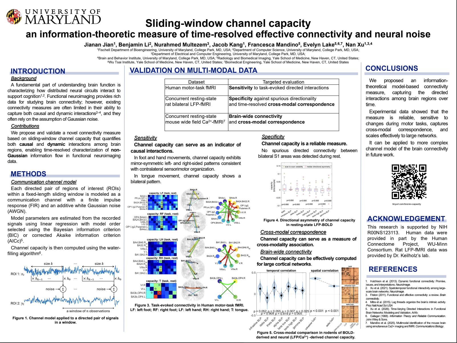 Sliding-window channel capacity an information-theoretic measure of time-resolved effective connectivity and neural noise